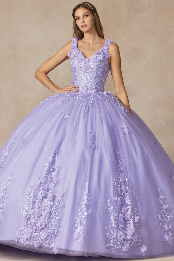 Floral applique quinceanera ball gown with 3D flowers.